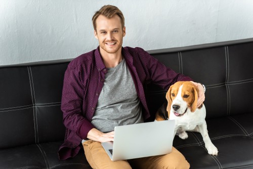 glücklicher männlicher Freelancer sitzt zu Hause mit Laptop und entzückendem Beagle auf dem Sofa
